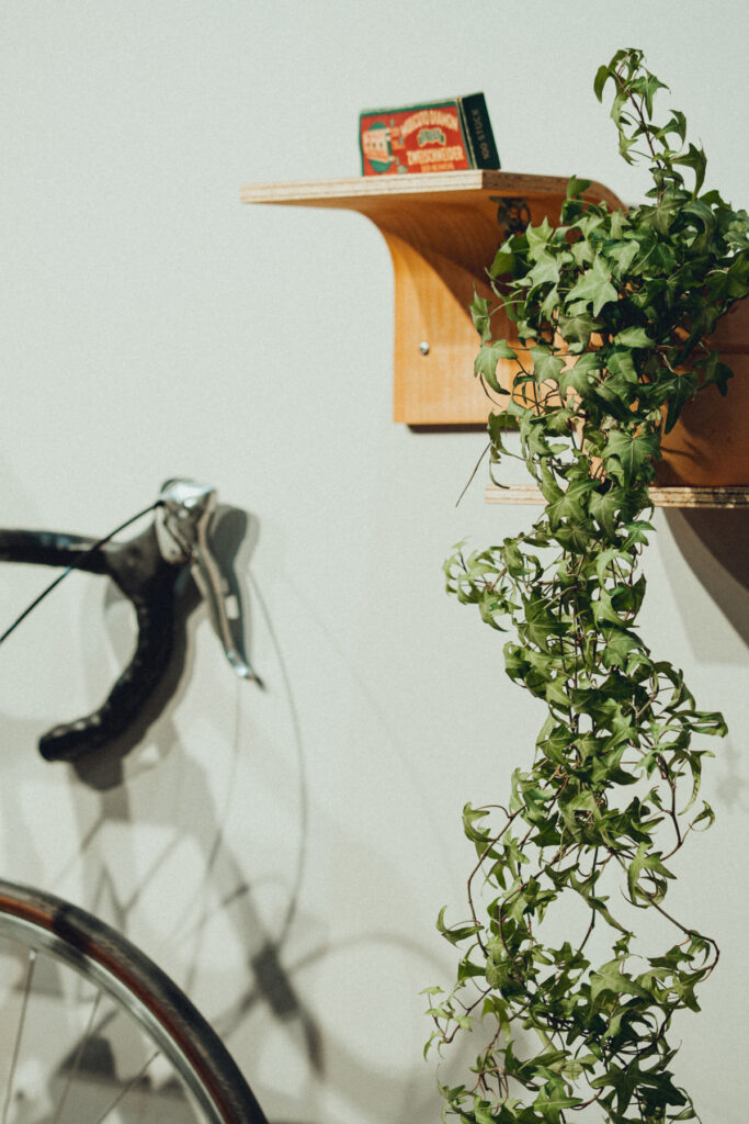 Modulares Wandregal aus der Curved-Serie in verschiedenen Größen und Holzarten.